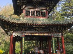 -迎泽公园