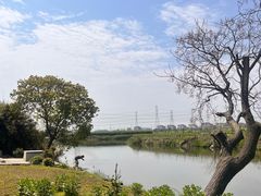 -沙家浜风景区