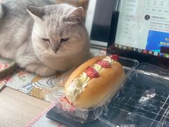 -巴黎贝甜(阳光上东店)