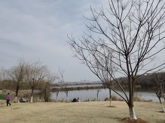 -盘龙城国家考古遗址公园