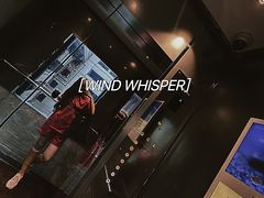 -健身专家Wellness Experts