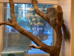 -龙猫仔乐园(惠福东路店)