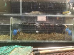 -衢农会·衢州菜·宴请(国际机场店)