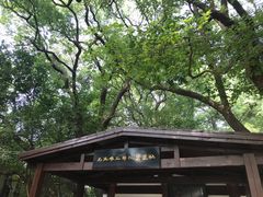 -马王堆汉墓遗址