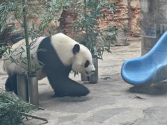 -石家庄市动物园