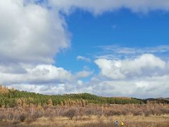 -塞罕坝国家级自然保护区