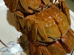 -呼吸森林·生态农庄农家乐私房菜