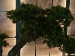 -潮上潮(南中环店)