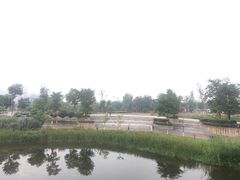 -眉山湿地公园(东坡区)