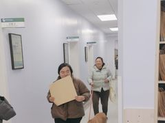 -中国农业大学动物医院