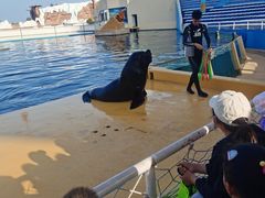 -秦皇岛乐岛海洋王国