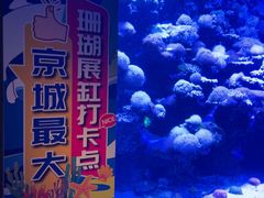 -太平洋海底世界