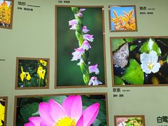 -白鹭湾湿地公园