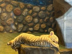 -横道河子东北虎林园