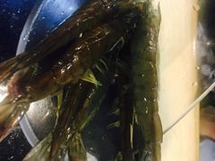 -青柠记忆泰式海鲜火锅(合生汇购物中心店)