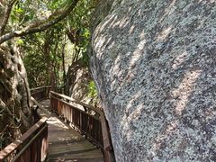 -三亚亚龙湾人间天堂鸟巢度假村