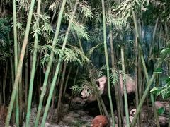 -吉林省自然博物馆