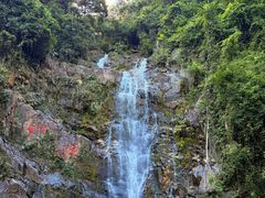 -鼎香皇高佬苏裹蒸粽