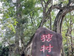 -瑞丽独树成林风景区