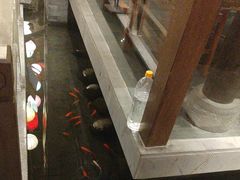 -蓉城老妈火锅(双林路店)