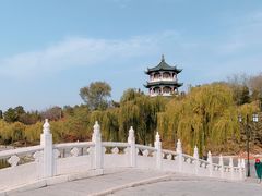 -莱西月湖公园