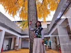 -自如ZSPACE四合院艺术餐厅