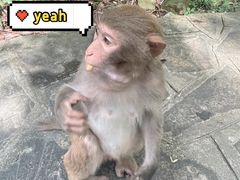 -黔灵山公园