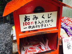 -岚山猴子公园