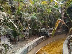 -龙达温泉生态城