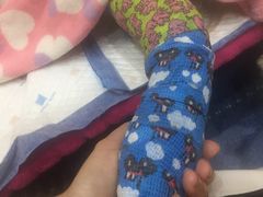 -佩兹宠物医院肿瘤专科·眼科·牙科(黄浦店)