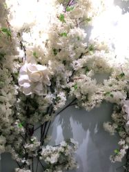 -小阿福儿童摄影(光谷时代广场店)