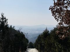 -潭柘寺景区