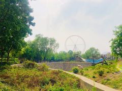 -辛玛王国游乐园