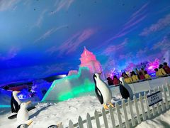-世界之窗阿尔卑斯冰雪世界