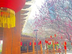 -四川省人民医院(本部)