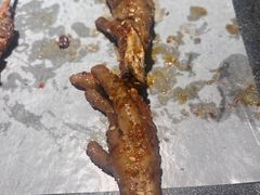 -管氏翅吧(台湾街店)