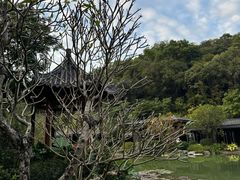 -云溪植物园