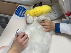 -谐和贝康宠物医院24小时·宠保定点(急重症转诊中心)