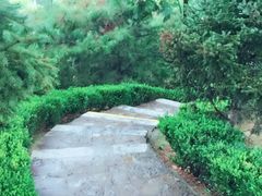 -西安青龙寺遗址景区