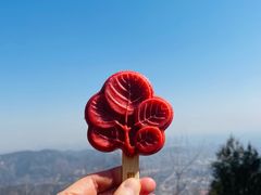 -香山公园