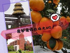 -前小桔亲子创意农场·草莓采摘·露营烧烤