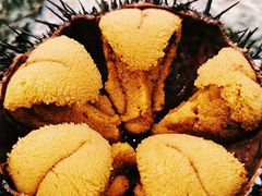 -HIHE Bistro·Oyster Bar(华熙live店)