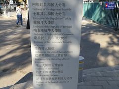 -三里屯东五街银杏大道