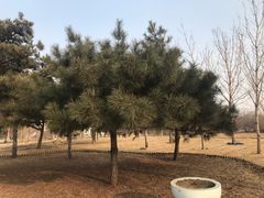 -长春公园(普阳街道)