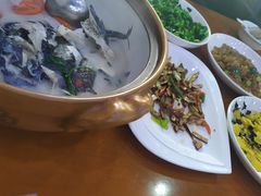 -全乐鱼馆·淳牌有机鱼直营店