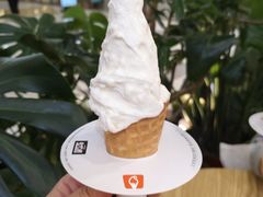 -野人先生Gelato(上海长宁龙之梦店)