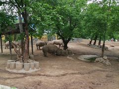 -西安秦岭野生动物园