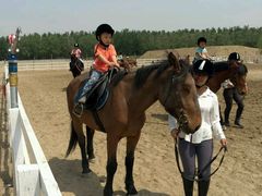 -月河湾马术俱乐部(朝阳店)