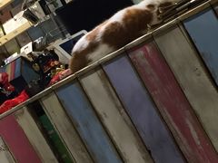 -小时光咖啡馆(开森度假森林店)