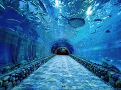 -华夏文旅海洋公园